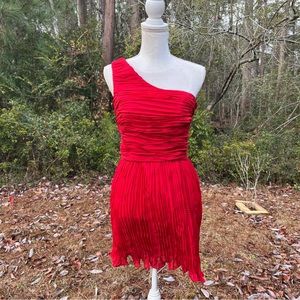 BB Dakota Mini Dress sz 4